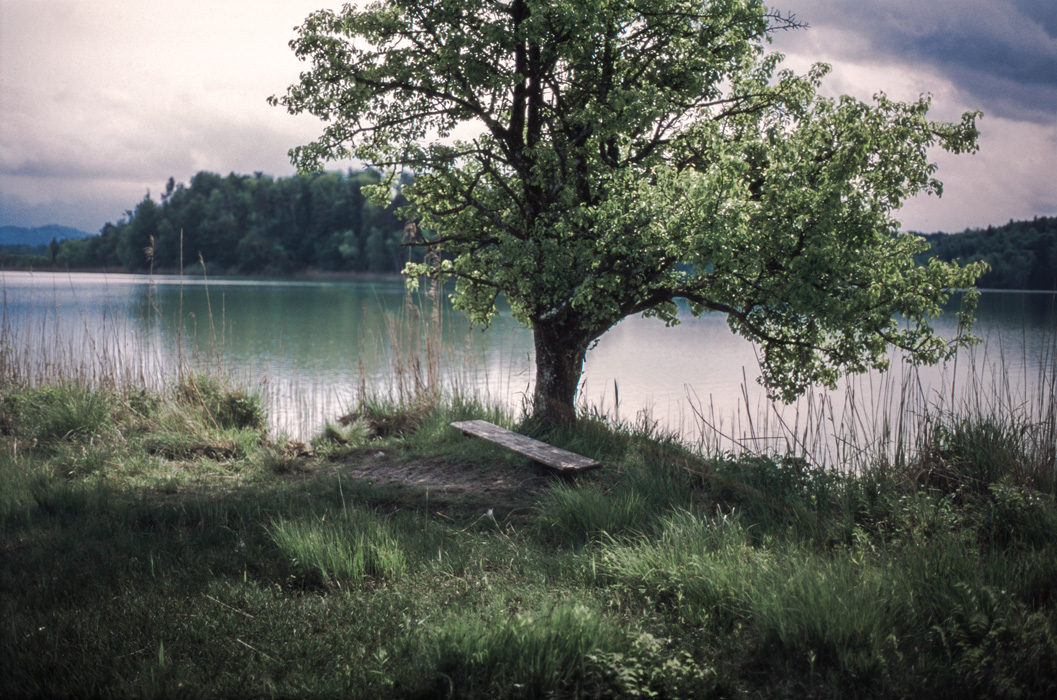 empty bench in front of lake
