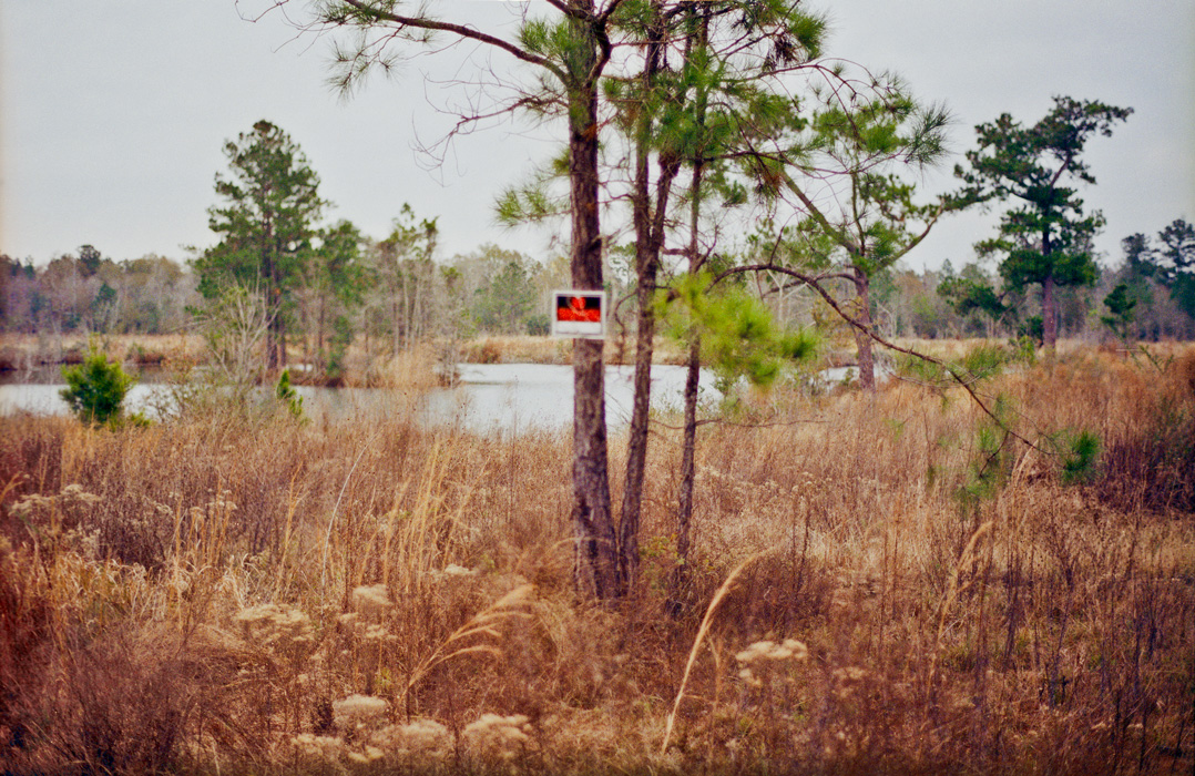 warning sign in orange swamp