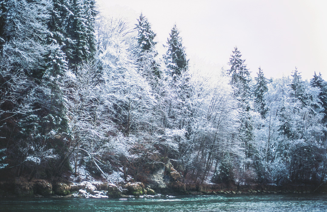 river in front of winter forest