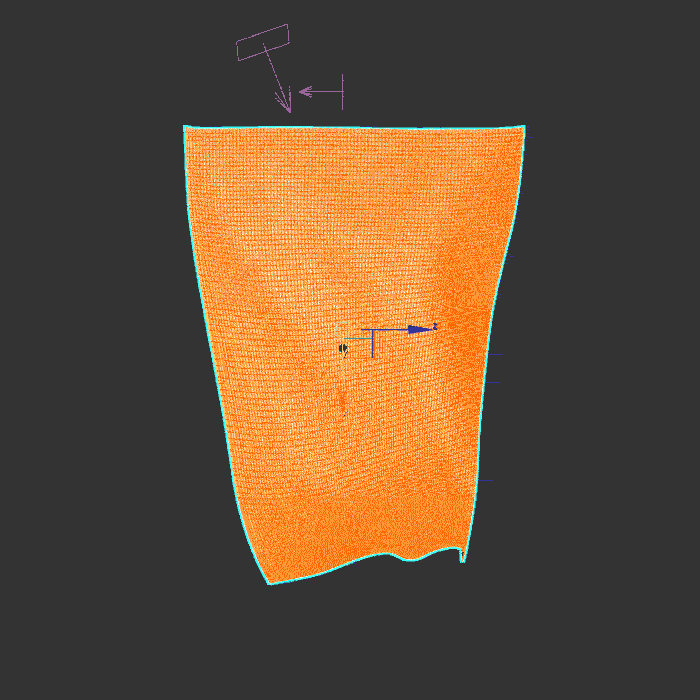 Cloth Simulation
