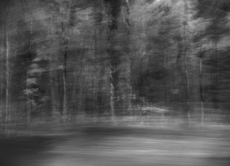 woodscape 3