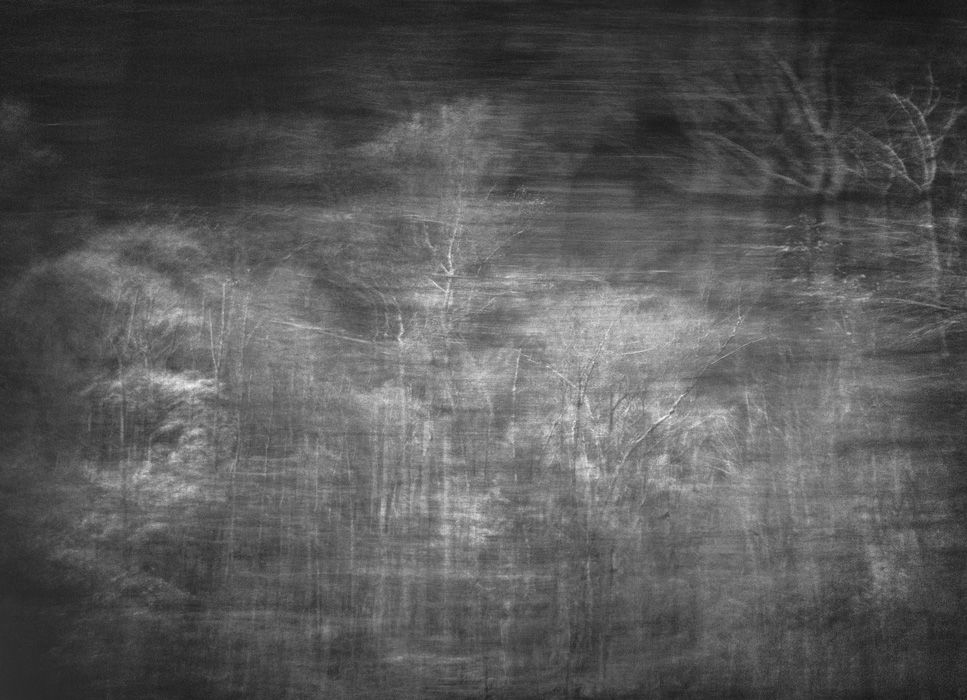 woodscape 4