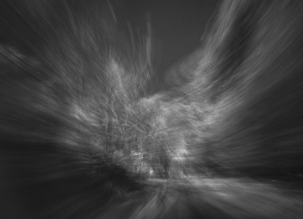 woodscape 7